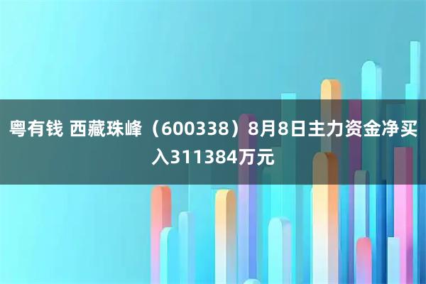 粤有钱 西藏珠峰(600338)8月8日主力资金净买入311384万元