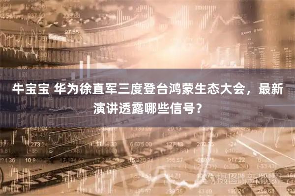 牛宝宝 华为徐直军三度登台鸿蒙生态大会，最新演讲透露哪些信号？